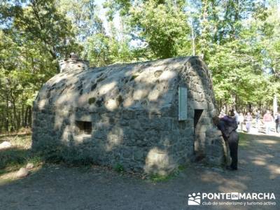 El Castañar de El Tiemblo , Un bosque mágico;senderismo en la sierra de madrid